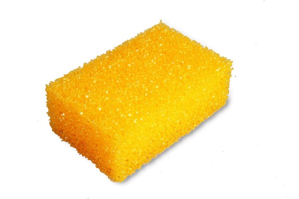 Insect and Carpet Sponge 100 x 80 x 50 mm