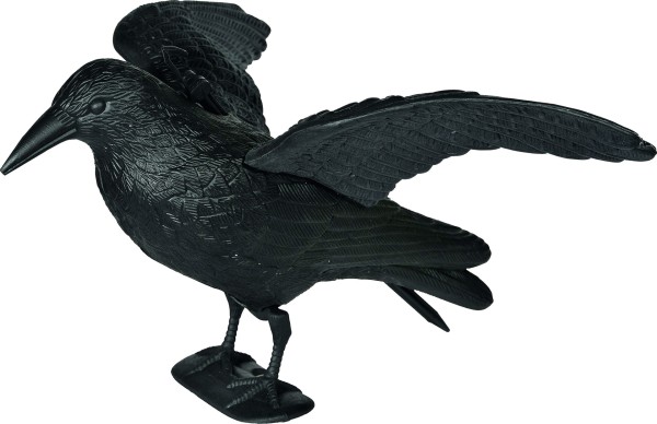 Fly Crow